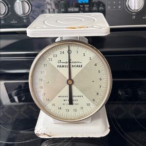Vintage American Family Scale